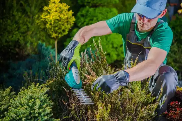 landscaping services Ballston Spa